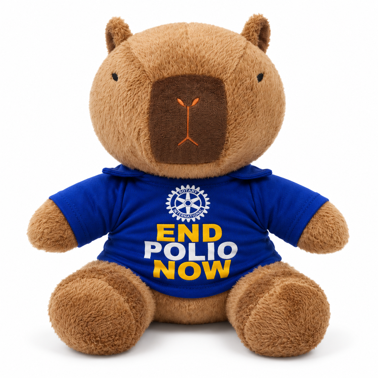 Capivarinha End Polio Now — foto 1